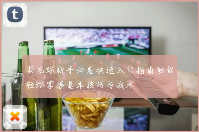 羽毛球新手必看快速入门指南助你轻松掌握基本技巧与战术
